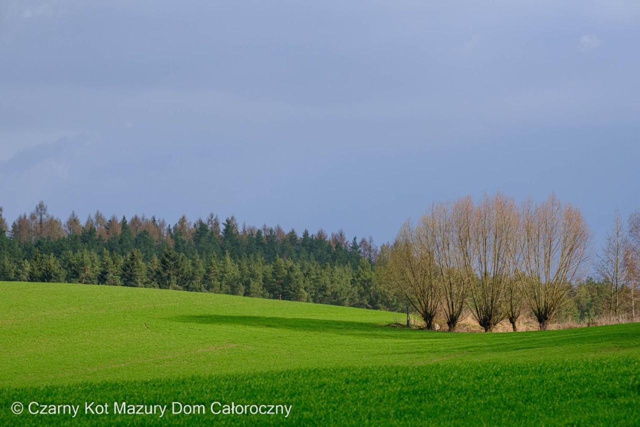 Villa Czarny Kot Mazury Dom Caloroczny Malkinie Exterior foto